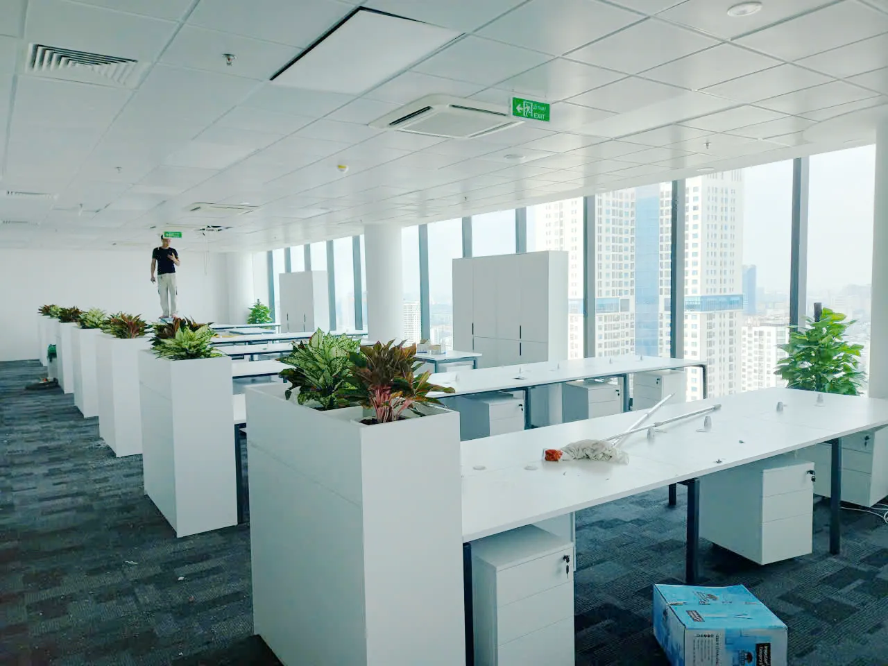 Dự án thiết kế cây văn phòng tại tòa nhà Vinacomin Tower tại Cầu Giấy Hà Nội của Green Homes